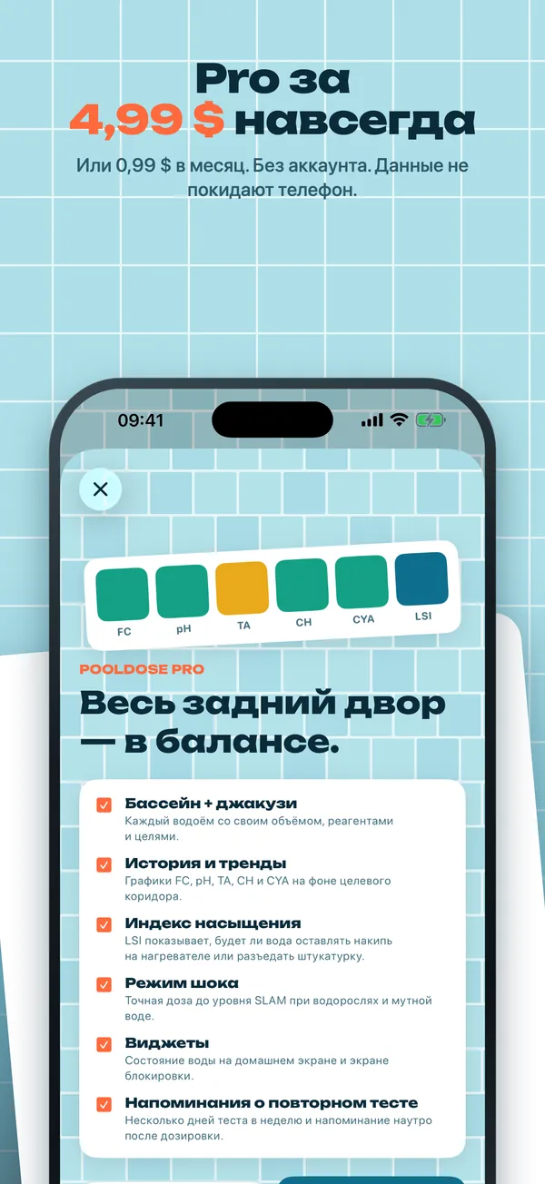 Pro разово или помесячно