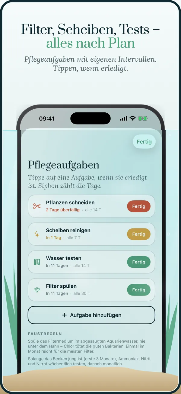 Pflege nach Plan