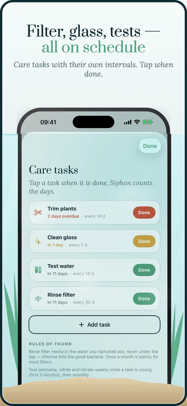 Care tasks on schedule