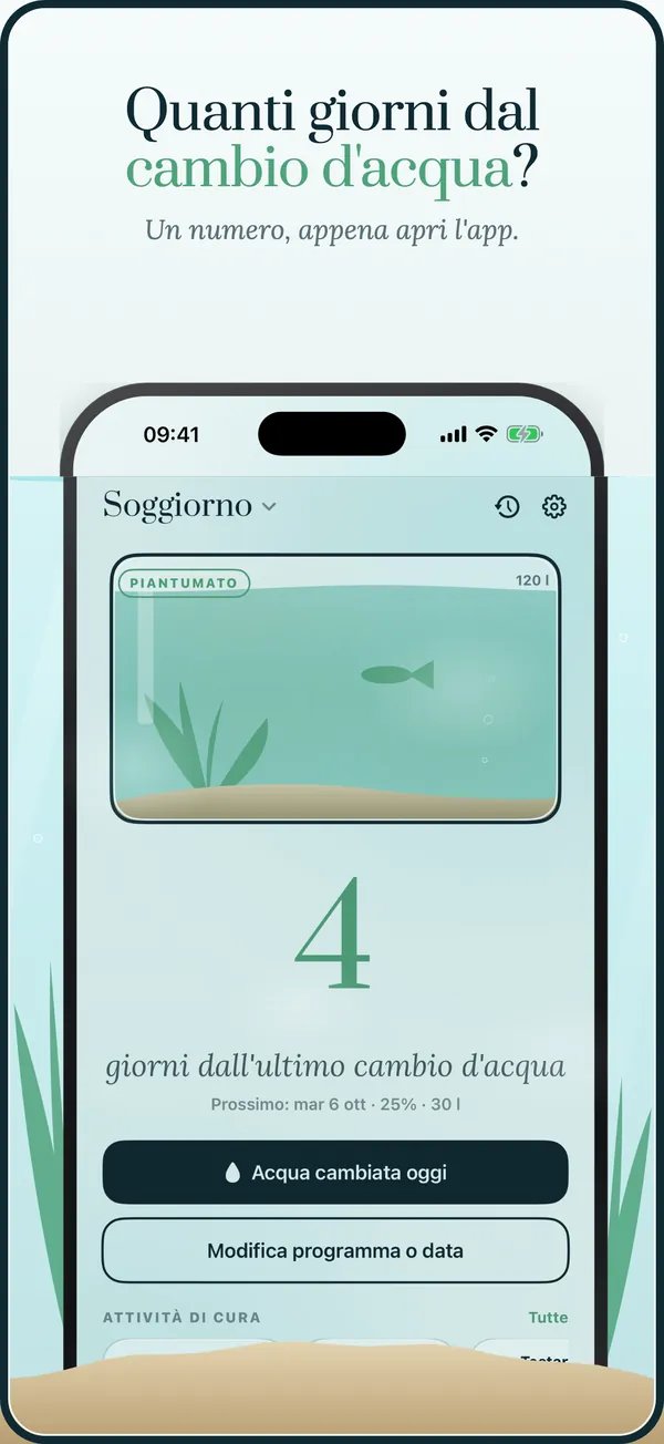 Giorni dal cambio