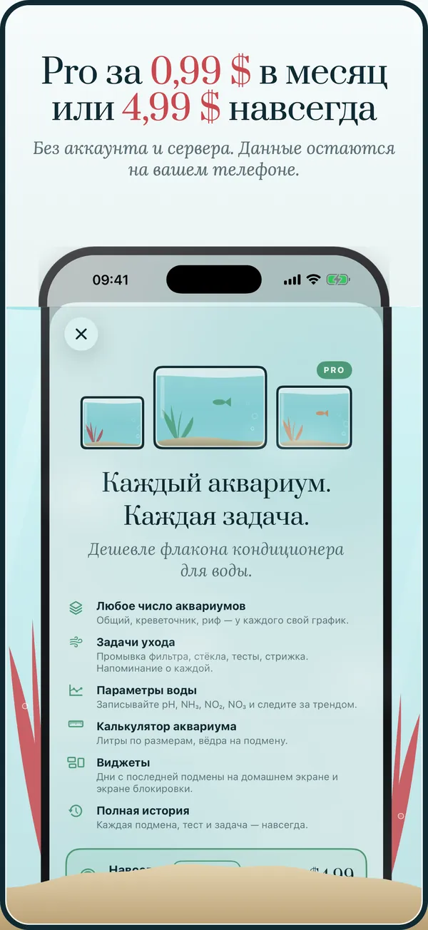 Pro: месяц или навсегда